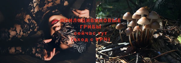 гидра Горно-Алтайск
