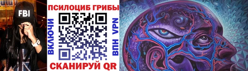 Псилоцибиновые грибы Psilocybe Нововоронеж